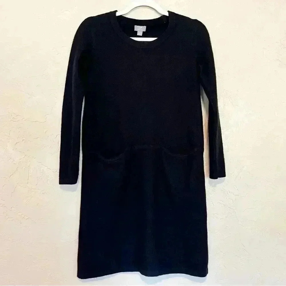 J Jill Italian Yarn Wool Cashmere Sweater Dress